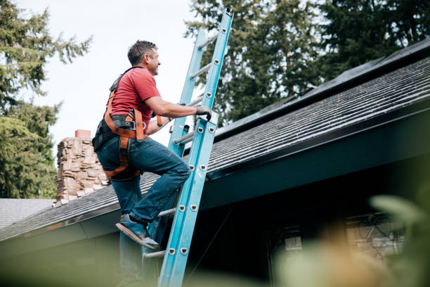 Best Roof Moss and Algae Removal  in Lanett, AL